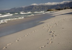 The Beauty of Gansbaai - Weekend Inspiration